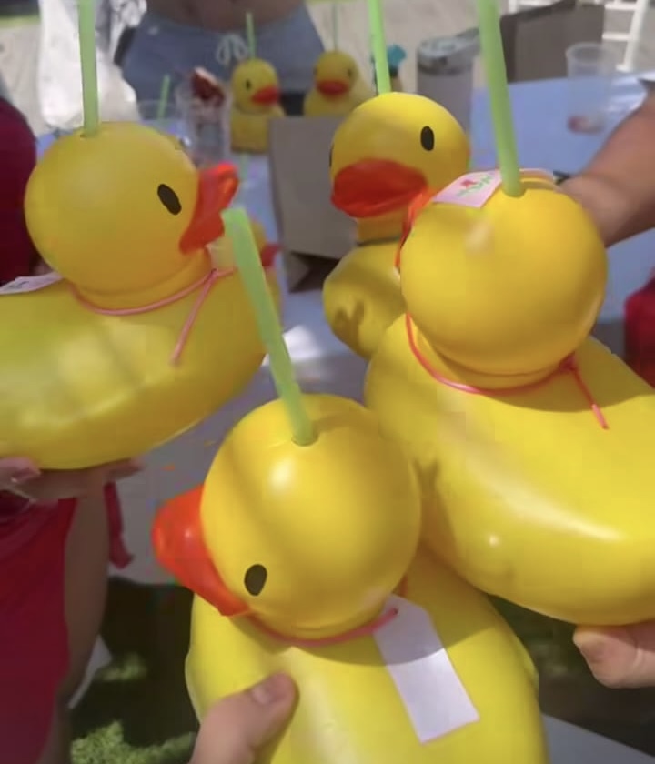 Jardín con áreas verdes